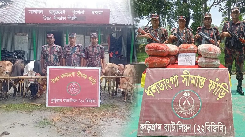 কুড়িগ্রাম সীমান্তে ৫৩ কেজি গাঁজাসহ ২৬ লাখ টাকার চোরাচালানি পণ্য জব্দ