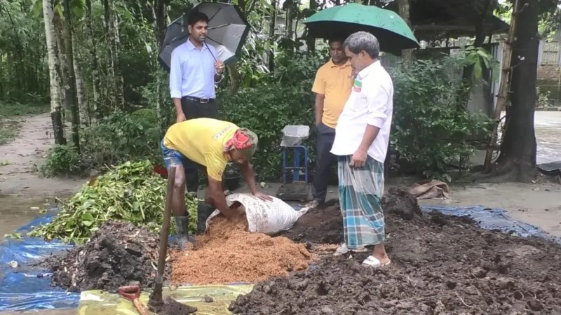 জৈব সারের ব্যবহারে লাভবান কুড়িগ্রামের কৃষকরা: কমেছে উৎপাদন খরচ